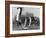 Ladies Softball Player Diving for Third Base, Atlanta, Georgia, 1955-null-Framed Photo