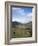 Ladies View, Ring of Kerry, Killarney, County Kerry, Munster, Eire (Republic of Ireland)-Roy Rainford-Framed Photographic Print