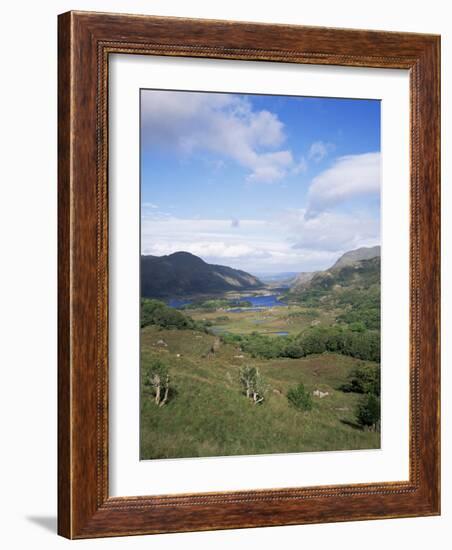Ladies View, Ring of Kerry, Killarney, County Kerry, Munster, Eire (Republic of Ireland)-Roy Rainford-Framed Photographic Print
