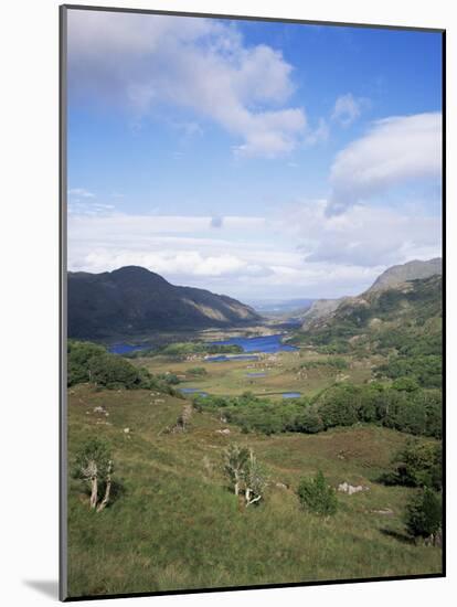 Ladies View, Ring of Kerry, Killarney, County Kerry, Munster, Eire (Republic of Ireland)-Roy Rainford-Mounted Photographic Print