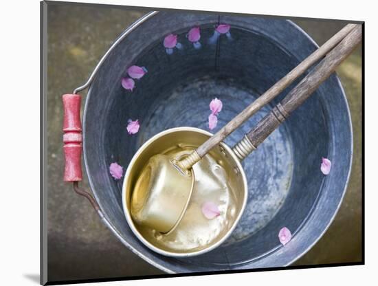 Ladling peach blossoms from a water pail-null-Mounted Photographic Print