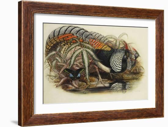 Lady Amherst's Pheasant-Henry Constantine Richter-Framed Giclee Print