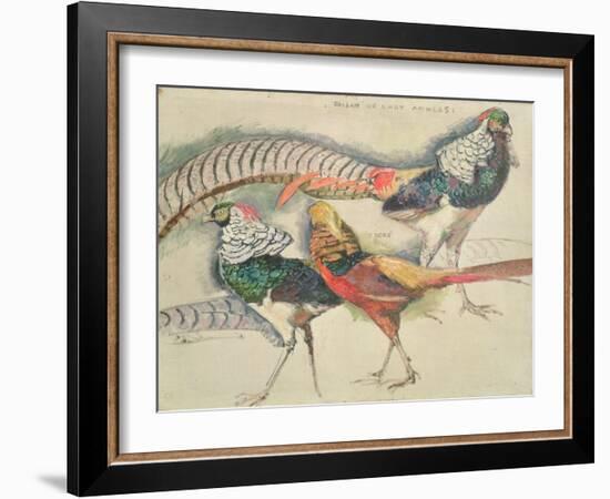 Lady Amherst's Pheasant-Theo van Rysselberghe-Framed Giclee Print