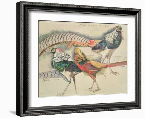 Lady Amherst's Pheasant-Theo van Rysselberghe-Framed Giclee Print