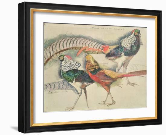 Lady Amherst's Pheasant-Theo van Rysselberghe-Framed Giclee Print