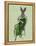 Lady Bella Rabbit Taking Tea-Fab Funky-Framed Stretched Canvas