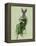 Lady Bella Rabbit Taking Tea-Fab Funky-Framed Stretched Canvas