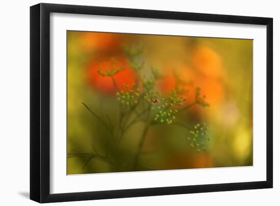 Lady Bug-Heidi Westum-Framed Photographic Print