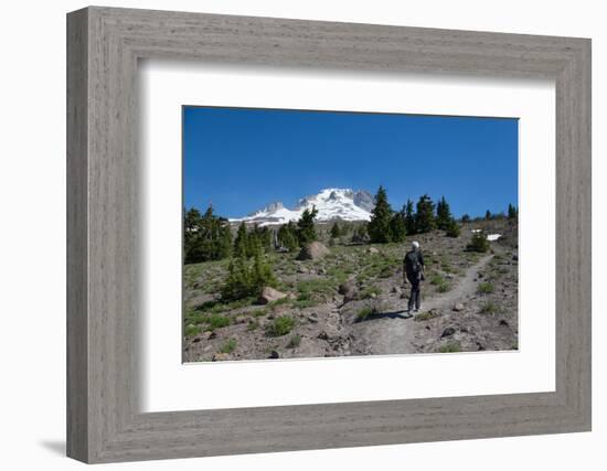 Lady hiker walking on a trail on Mount Hood, part of the Cascade Range, Pacific Northwest region, O-Martin Child-Framed Photographic Print