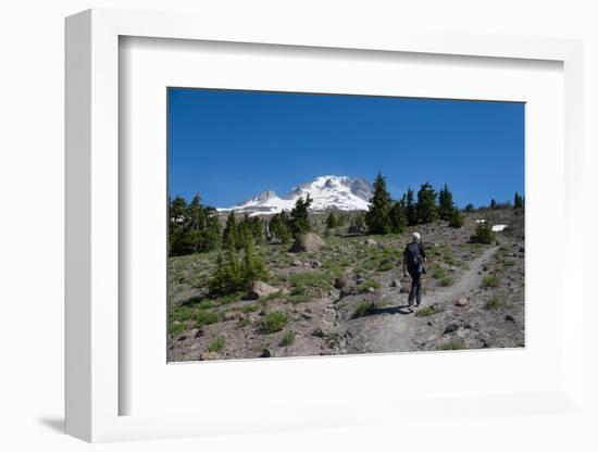 Lady hiker walking on a trail on Mount Hood, part of the Cascade Range, Pacific Northwest region, O-Martin Child-Framed Photographic Print