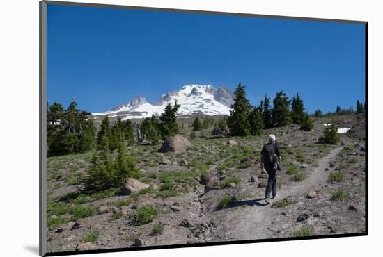 Lady hiker walking on a trail on Mount Hood, part of the Cascade Range, Pacific Northwest region, O-Martin Child-Mounted Photographic Print