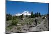 Lady hiker walking on a trail on Mount Hood, part of the Cascade Range, Pacific Northwest region, O-Martin Child-Mounted Photographic Print