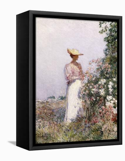 Lady in Flower Garden-Childe Hassam-Framed Premier Image Canvas