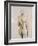 Lady in Silence I-Rikki Drotar-Framed Giclee Print