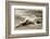 Lady in swimsuit-French School-Framed Photographic Print