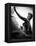 Lady in the Dark, 1944-null-Framed Premier Image Canvas