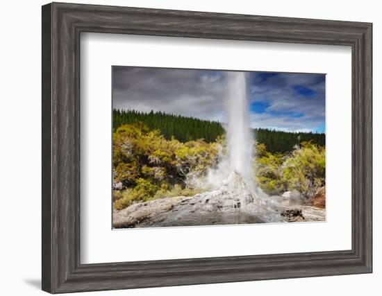 Lady Knox Geyser Waiotapu-null-Framed Art Print