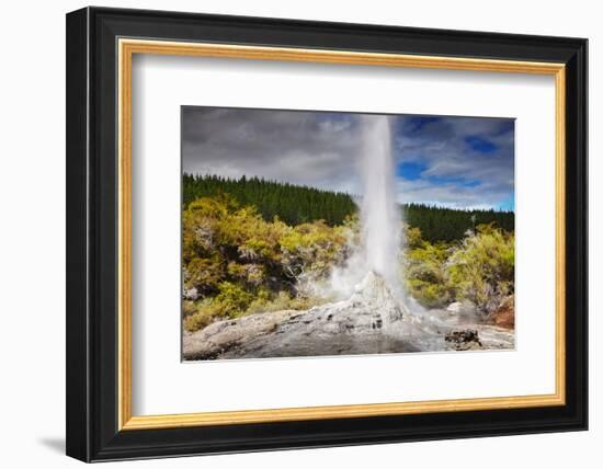 Lady Knox Geyser Waiotapu-null-Framed Art Print