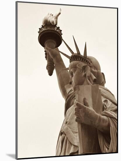 Lady Liberty-Sasha Gleyzer-Mounted Art Print