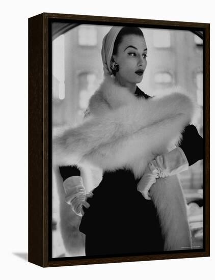 Lady Modeling a Boa Made Out of Six Rounded Skins of Natural White Fox, Selling For $350-Gordon Parks-Framed Premier Image Canvas