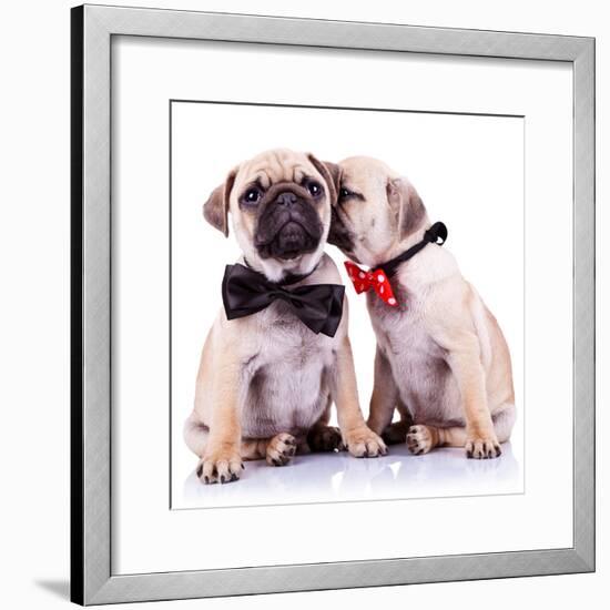 Lady Mops Puppy Whispering Something Or Kissing Its Gentleman Partner While Seated-Viorel Sima-Framed Photographic Print