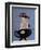 Lady Seated at Table in Black Hat with Flowers, 2015-Susan Adams-Framed Giclee Print