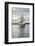 Lady Washington I-Alan Majchrowicz-Framed Photographic Print