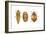 Ladybird Beetle Larva, Pupa and Adult (Coccinellidae), Ladybug, Insects-Encyclopaedia Britannica-Framed Art Print