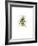 Ladybird-Alexis Marcou-Framed Art Print