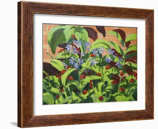 Ladybirds, 2013-Andrew Macara-Framed Giclee Print