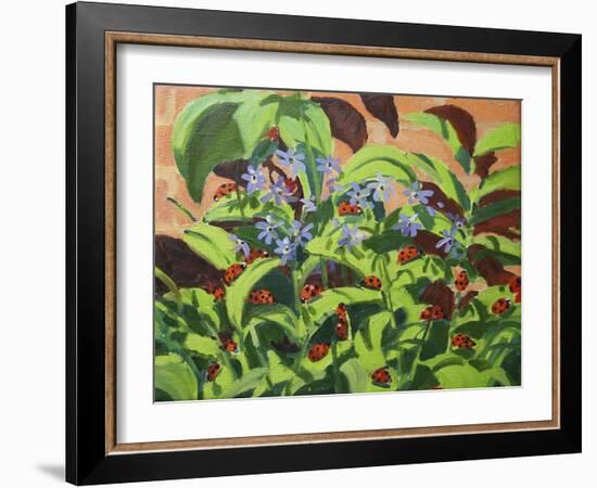 Ladybirds, 2013-Andrew Macara-Framed Giclee Print