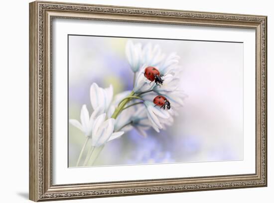 Ladybirds-Ellen Van Deelen-Framed Art Print