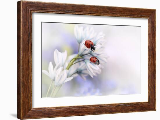 Ladybirds-Ellen Van Deelen-Framed Art Print