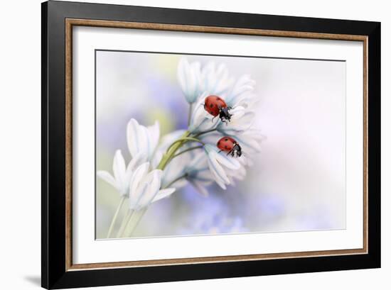 Ladybirds-Ellen Van Deelen-Framed Art Print