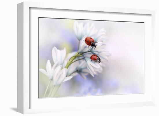 Ladybirds-Ellen Van Deelen-Framed Art Print