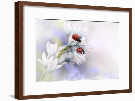 Ladybirds-Ellen Van Deelen-Framed Art Print