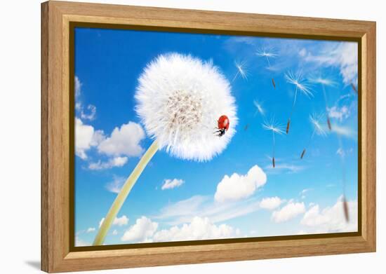 Ladybug On A Dandelion On A Background Of The Sky-Miramiska-Framed Premier Image Canvas