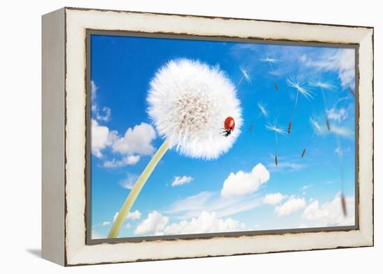 Ladybug On A Dandelion On A Background Of The Sky-Miramiska-Framed Premier Image Canvas