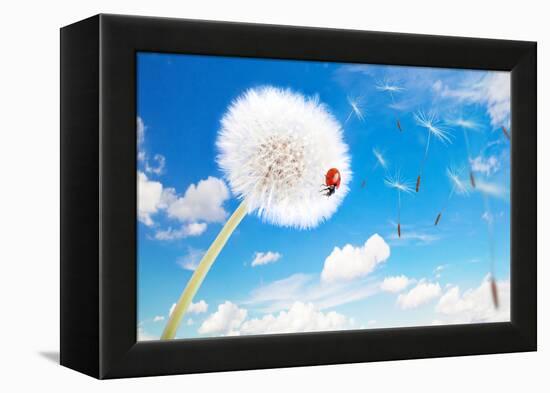 Ladybug On A Dandelion On A Background Of The Sky-Miramiska-Framed Premier Image Canvas