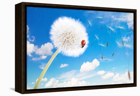 Ladybug On A Dandelion On A Background Of The Sky-Miramiska-Framed Premier Image Canvas