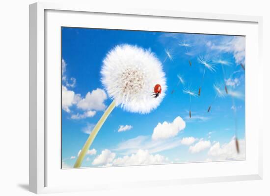 Ladybug On A Dandelion On A Background Of The Sky-Miramiska-Framed Photographic Print