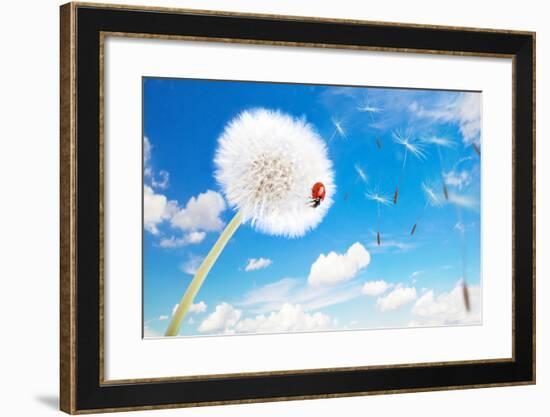 Ladybug On A Dandelion On A Background Of The Sky-Miramiska-Framed Photographic Print
