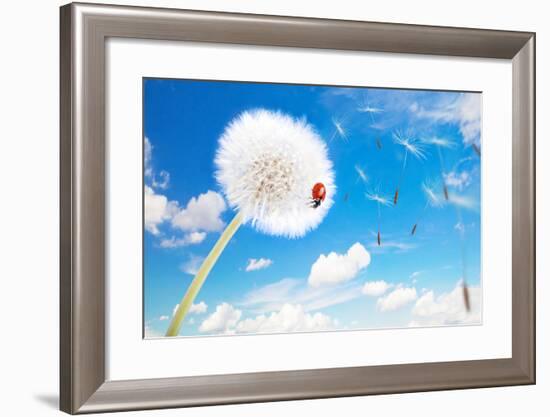 Ladybug On A Dandelion On A Background Of The Sky-Miramiska-Framed Photographic Print