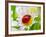 Ladybug Sits On A Flower Petal-Ale-ks-Framed Photographic Print