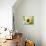 Ladybug Sits On A Flower Petal-Ale-ks-Photographic Print displayed on a wall