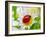 Ladybug Sits On A Flower Petal-Ale-ks-Framed Photographic Print