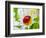 Ladybug Sits On A Flower Petal-Ale-ks-Framed Photographic Print