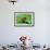 Ladybug-gorielov-Framed Photographic Print displayed on a wall