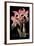 Laelia-Mindy Sommers-Framed Giclee Print