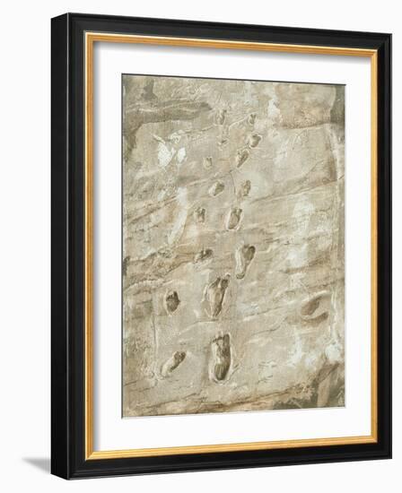 Laetoli Fossil Footprints-Kennis and Kennis-Framed Photographic Print
